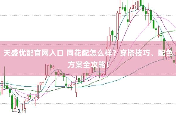 天盛優(yōu)配官網(wǎng)入口 同花配怎么樣？穿搭技巧、配色方案全攻略！