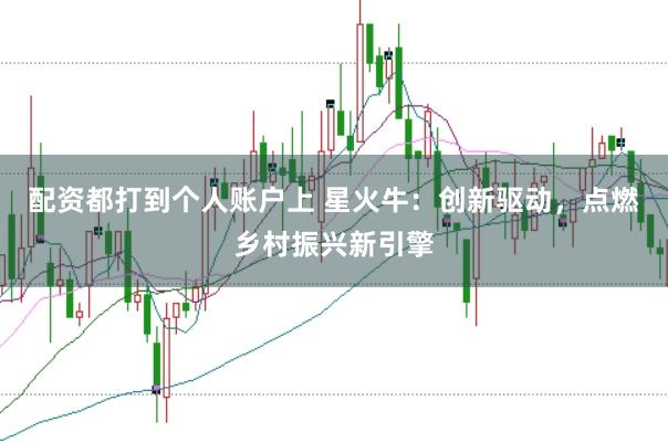 配資都打到個(gè)人賬戶上 星火牛：創(chuàng)新驅(qū)動(dòng)，點(diǎn)燃鄉(xiāng)村振興新引擎